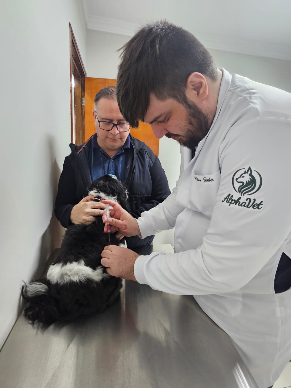 Equipe da Alphavet cuidando de um pet